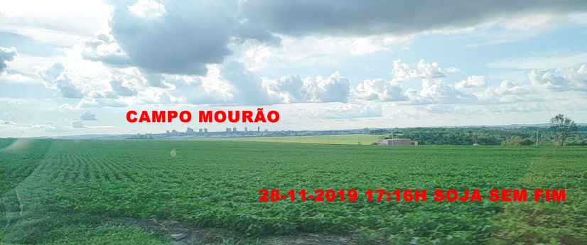 C:\Users\Seven\Desktop\FOTOS 1 DE UMA LONGA VIAGEM 29-02-2019\FOTO 29 SOJA CAMPO MOURÃO.jpg